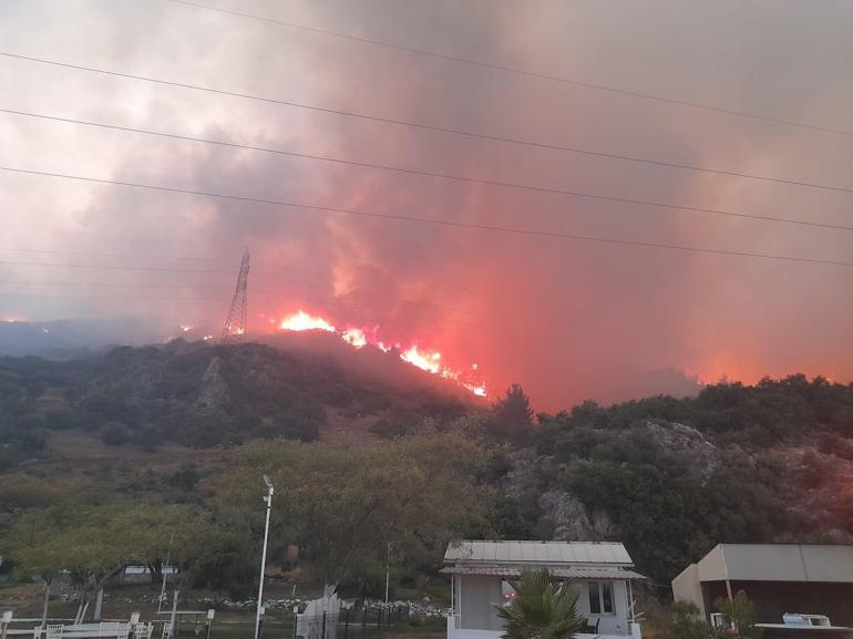 Sökede çıkan orman yangını kısa sürede yayıldı