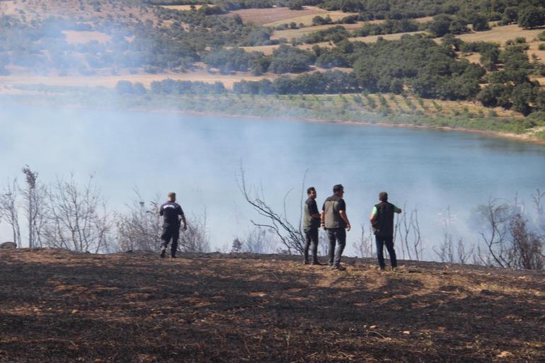 Tarım arazisinde çıkan yangın makiye sıçradı, alevler gölete gelince durdu