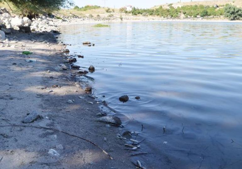 Balık ölümlerinin yaşandığı göletten alınan numuneler İzmire gönderildi