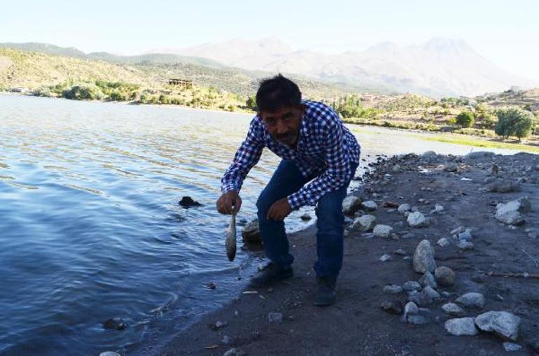 Balık ölümlerinin yaşandığı göletten alınan numuneler İzmire gönderildi