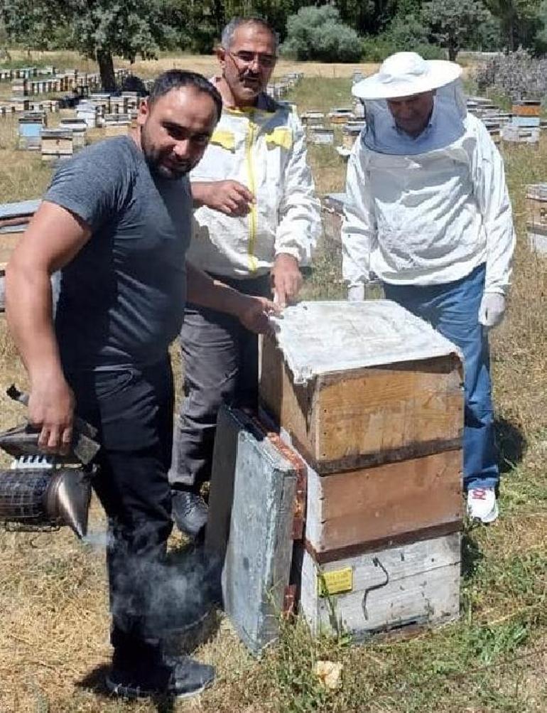 Binali Yıldırım, baba ocağı Erzincanda bal hasadı yaptı