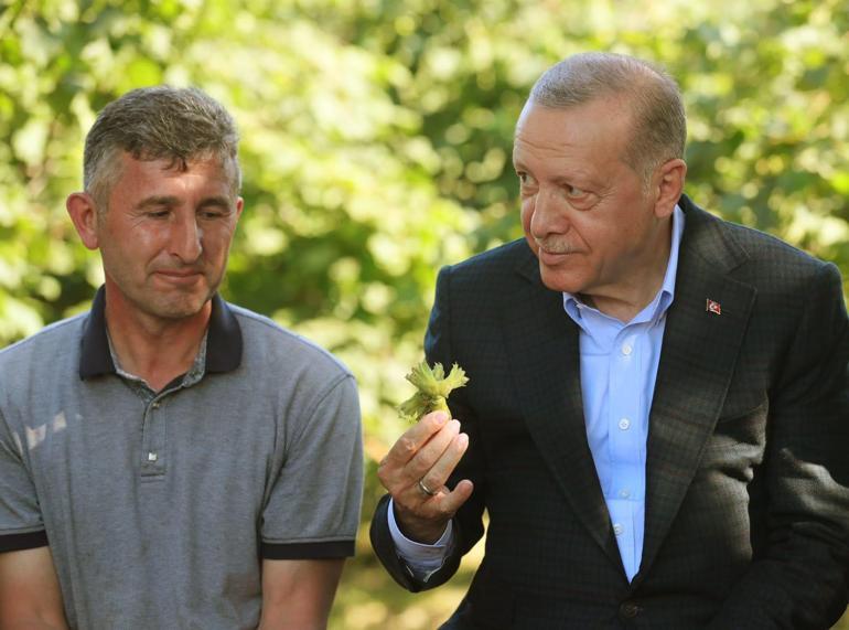 Cumhurbaşkanı Erdoğan: Fındık alım fiyatı ortalama 54 lira