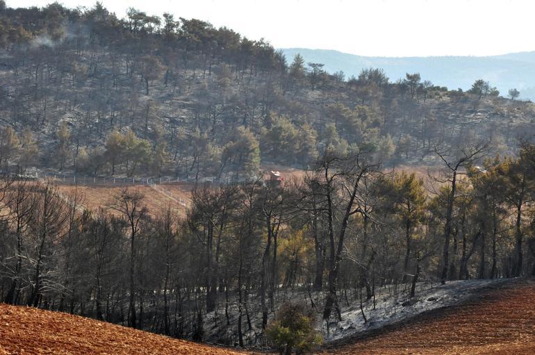 Manisada, 5 gün arayla 444 hektar alan yandı