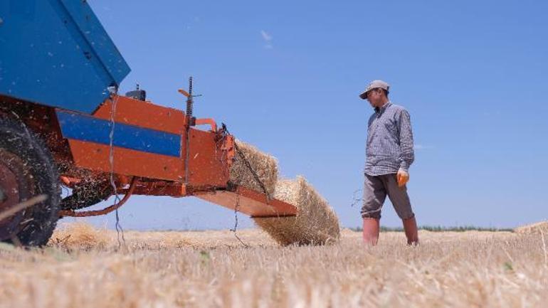 Tahıl koridoru Türk çiftçisini olumsuz etkilemeyecek