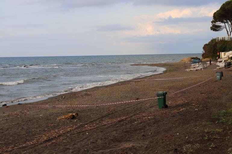 Orduda sahile vuran deniz mayını olduğu tahmin edilen cisim imha edildi