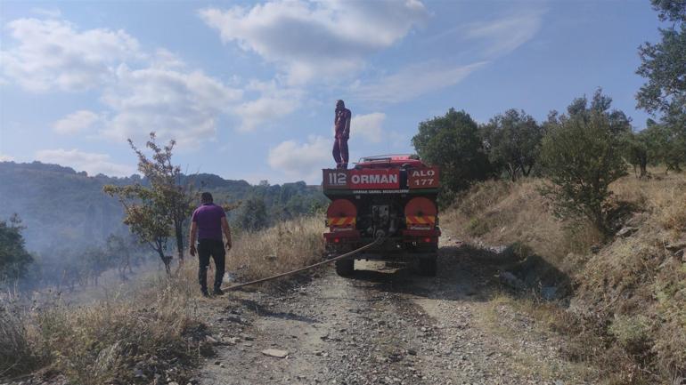 Bursada zeytinlik yangını