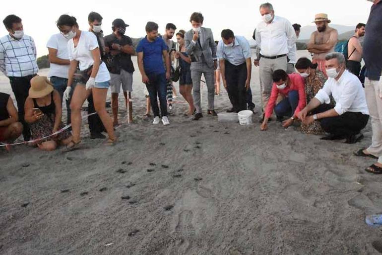 Patara Plajından 5 bininci yavru caretta caretta Akdenize ulaştı