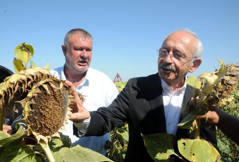Kılıçdaroğlu: Ayçiçeği taban fiyatı ton başına 16 bin lira olmalı