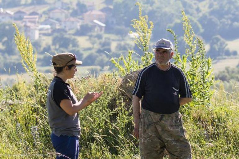 Türkiyede 12 çift kalan bozkır kartalı, kırmızı listede