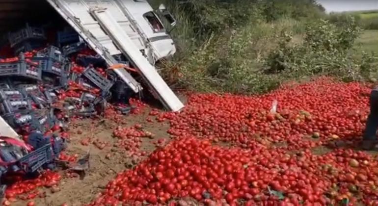 Adanada domates yüklü kamyon şarampole devrildi