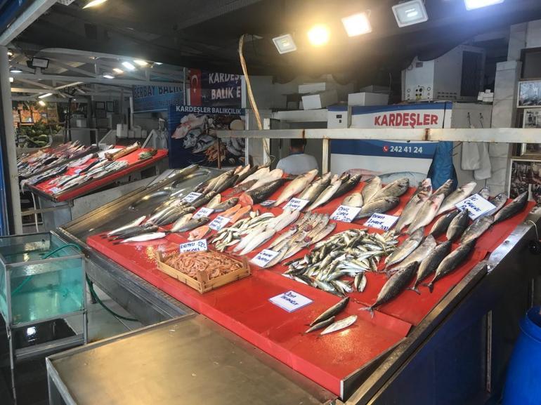 Av yasağının sona ermesine sayılı günler kala tüketicilere çağrı: Balıkların boyutuna dikkat edin
