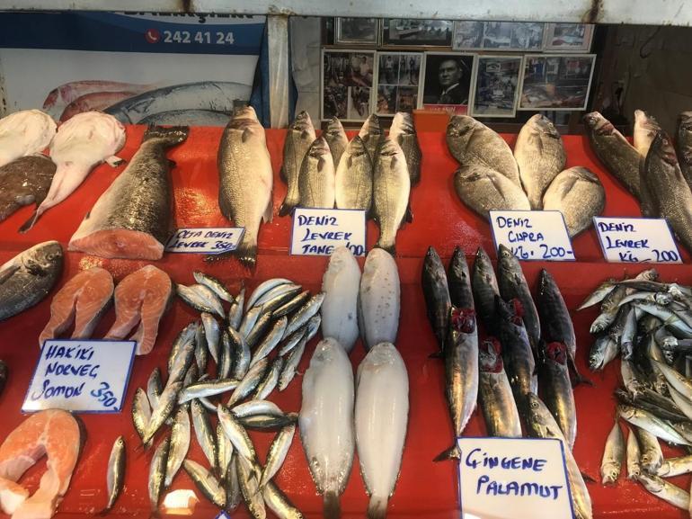 Av yasağının sona ermesine sayılı günler kala tüketicilere çağrı: Balıkların boyutuna dikkat edin