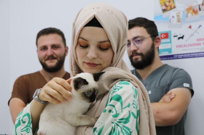 Kardeşi kuyruğuna yapışık doğan kedi kurtarıldı