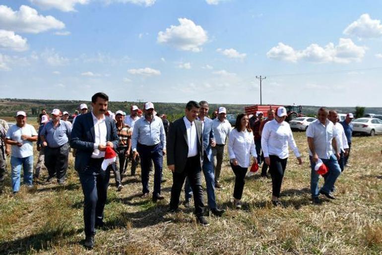 Vali Kırbıyık: Edirnede ayçiçeği rekoltesi 300 bin ton üzerinde olacak