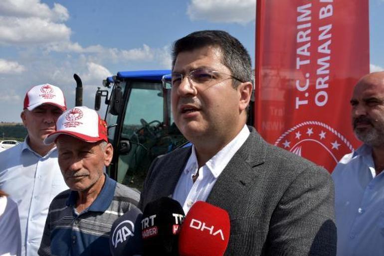 Vali Kırbıyık: Edirnede ayçiçeği rekoltesi 300 bin ton üzerinde olacak