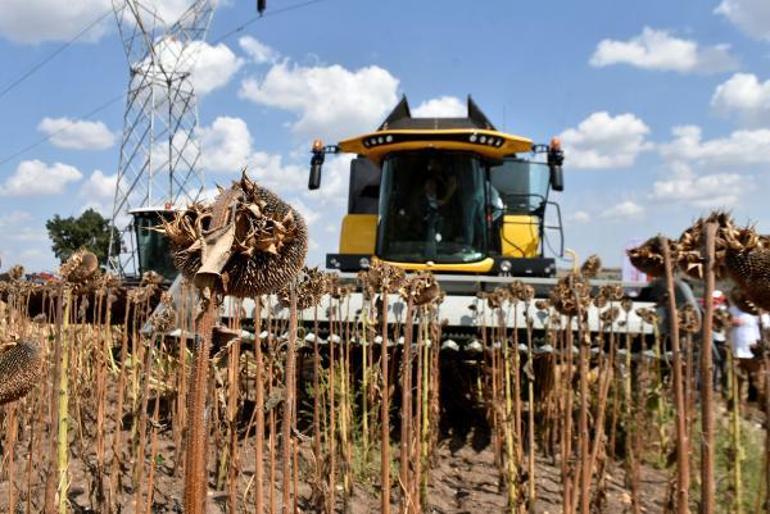 Vali Kırbıyık: Edirnede ayçiçeği rekoltesi 300 bin ton üzerinde olacak