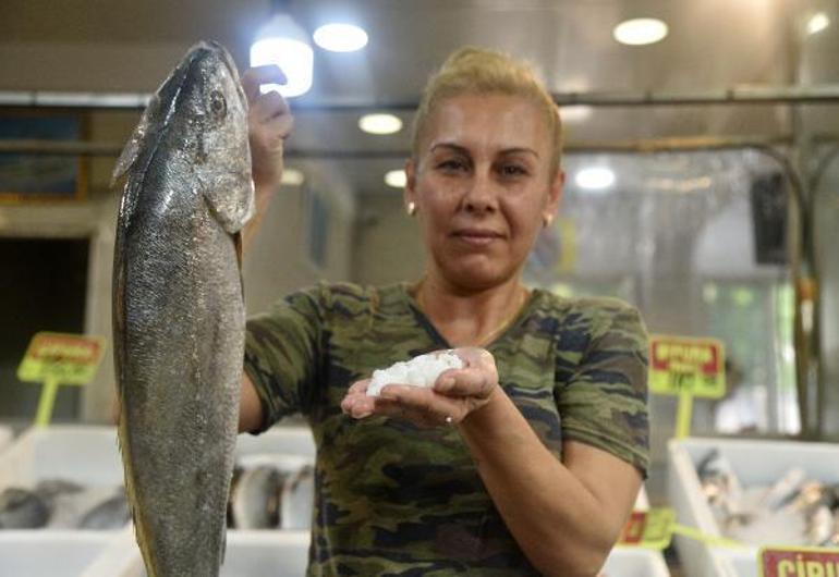 Balığın başındaki şifalı olduğuna inanılan taşın kilosu, 1000 lira