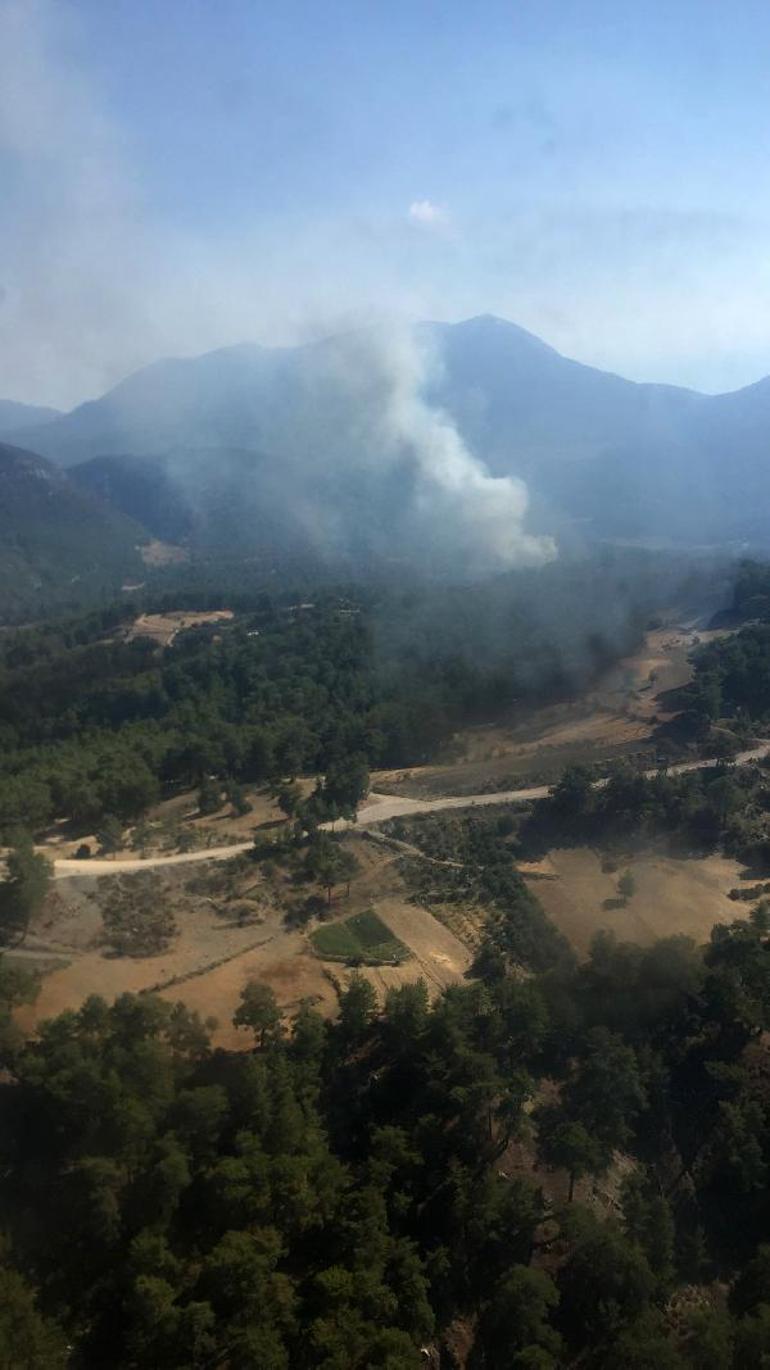 Kaşta orman yangını