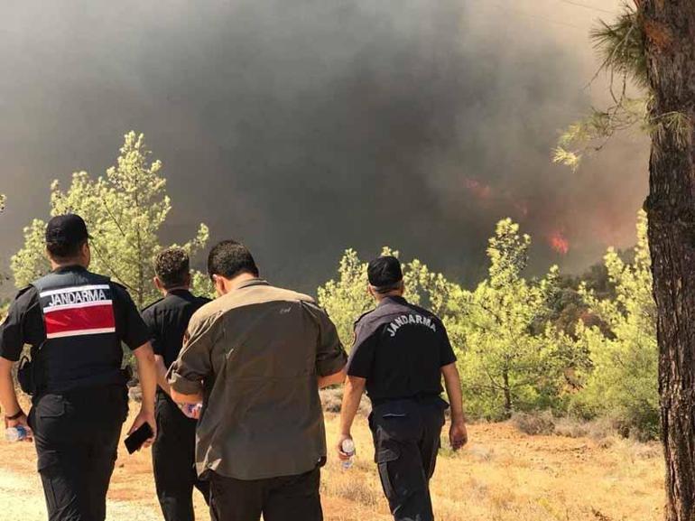 Mersinde orman yangını, 2nci gününde kontrol altında