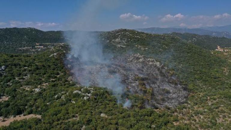 Demrede orman yangını