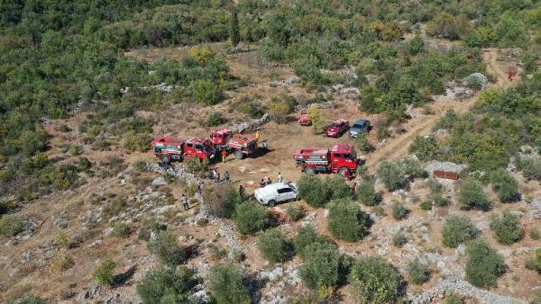 Demrede orman yangını