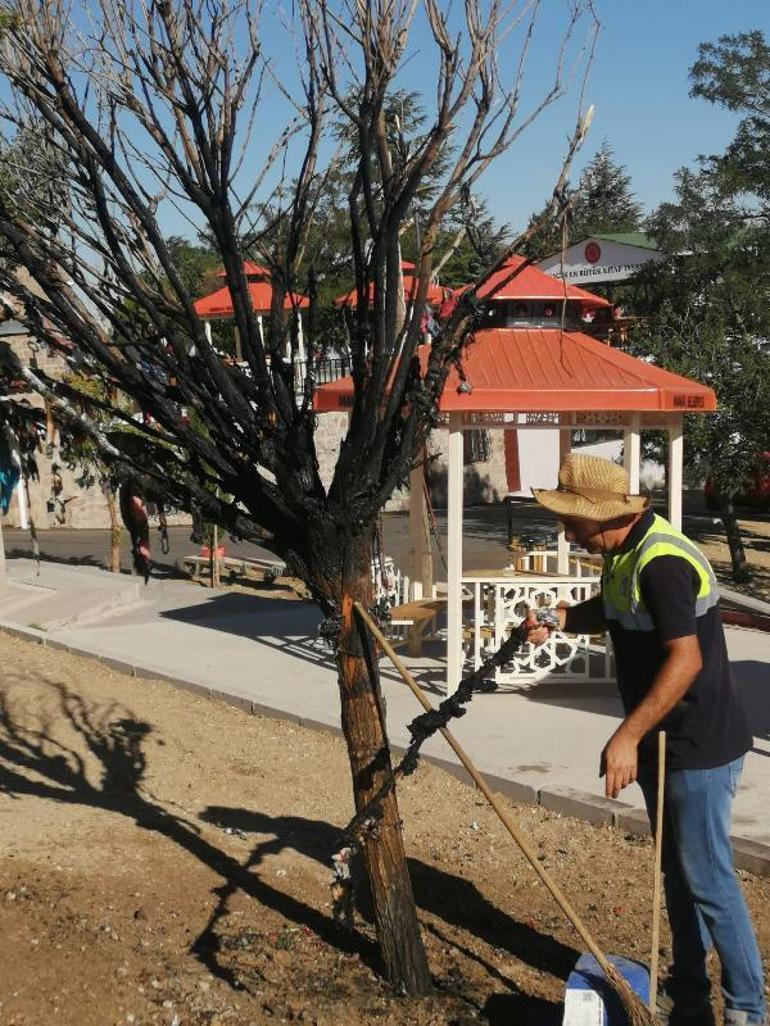 Cemevinin dilek ağacını yakan 2 kişiye gözaltı