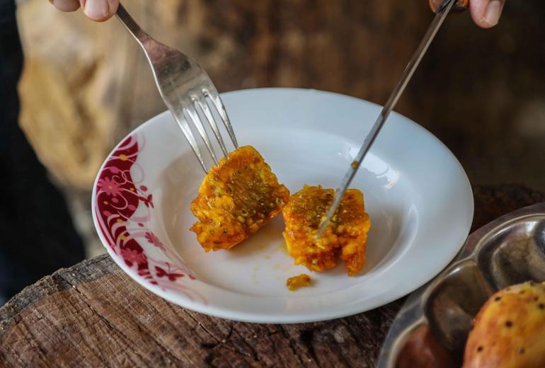 Enerji kaynağı Frenk yemişi dalında çürüyor