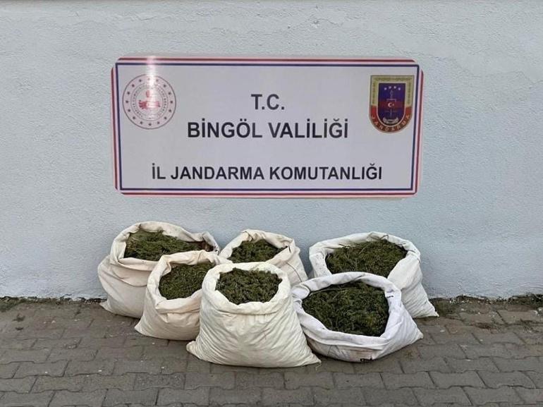 Bingölde 3 milyon kök kenevir ve patlamamış havan ele geçirildi