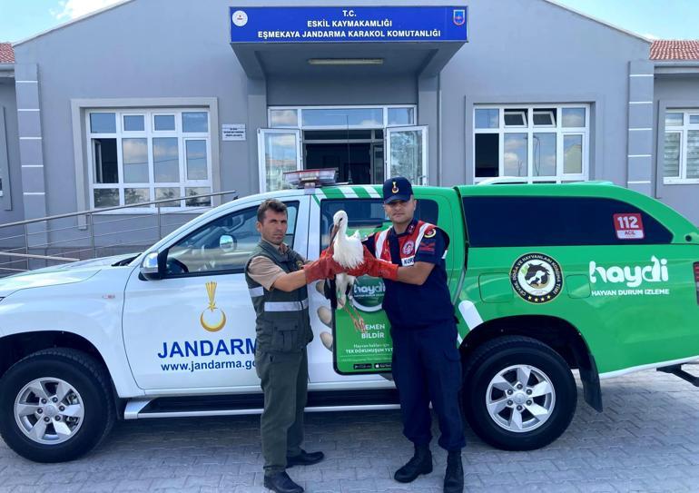 Ayağında Polonyalı kuş gözlemcilerinin taktığı çip olan leylek tedavi edildi