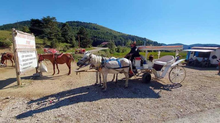 Milli parktan uzaklaşan faytoncular: İş yapamıyoruz