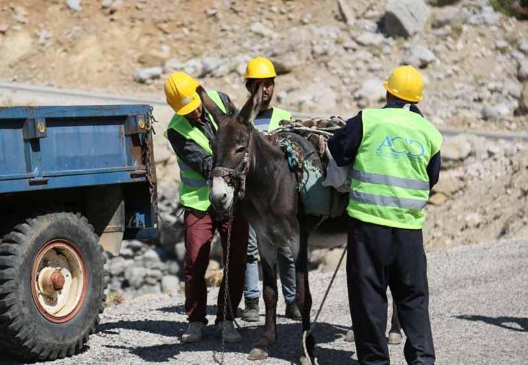 Torosların dağ köyündeki su çalışması için katır ve eşekler kiralandı