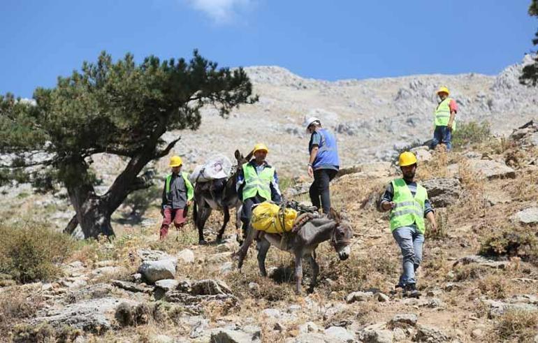 Torosların dağ köyündeki su çalışması için katır ve eşekler kiralandı