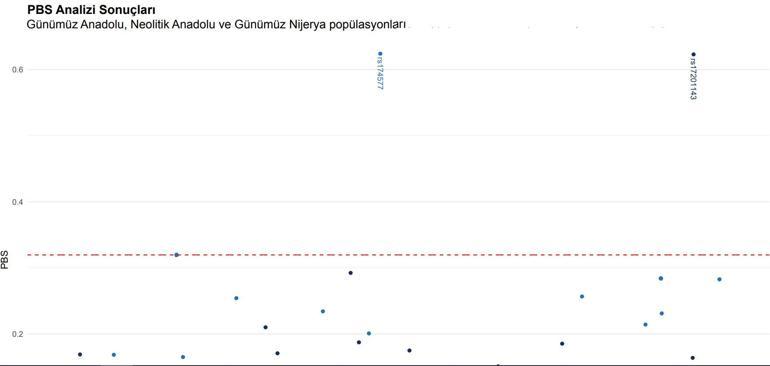 Obezite ve diyabetin tarihi antik DNA ile araştırılıyor