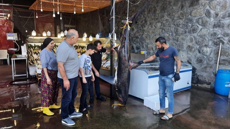 Gölcüklü balıkçı, 350 kiloluk camgöz köpek balığı yakaladı