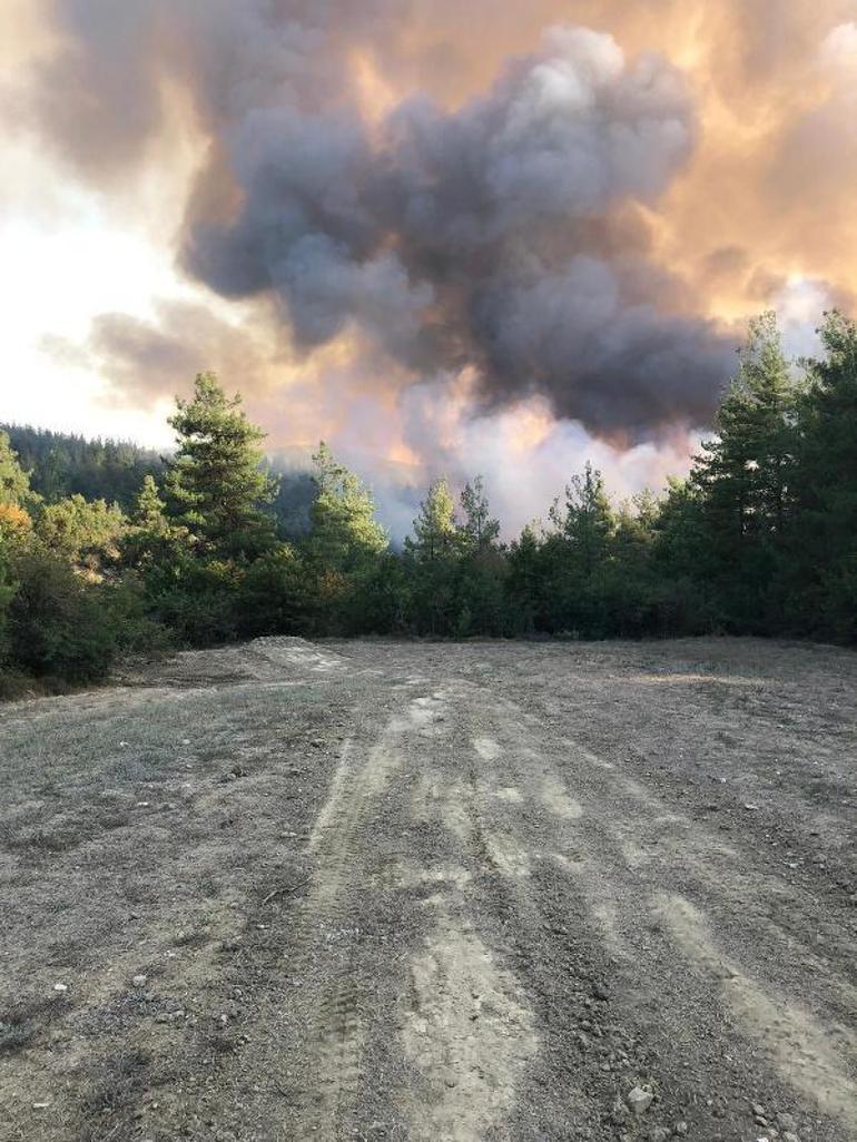 Orhanelide orman yangını