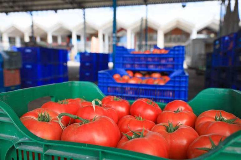 Örtü altı üretim düşünce Avrupalı Antalyaya yöneldi