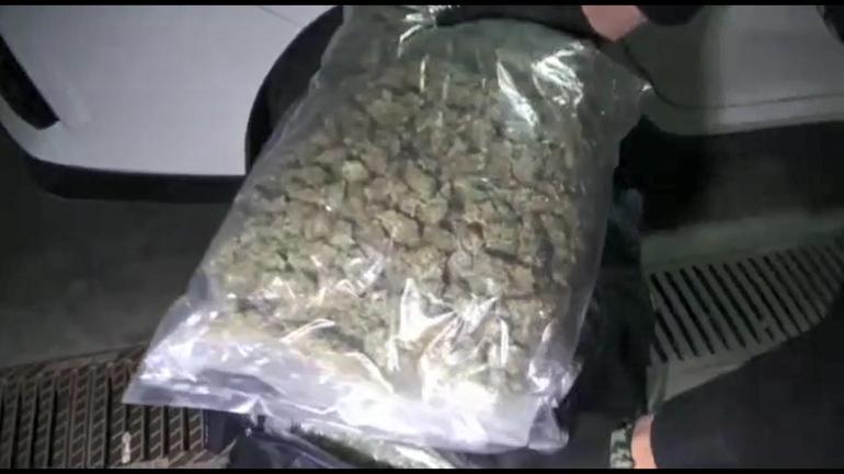 İstanbul’da uyuşturucu operasyonu: 89 kilogram marihuana ele geçirildi