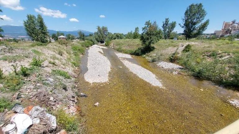 Yuva köyünde zehirlenme vakalarıyla ilgili muhtarın ihmali araştırılıyor