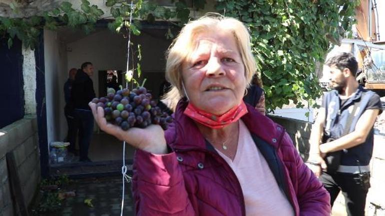 Son üzümleri, yıkım için gelen polislere dağıttı