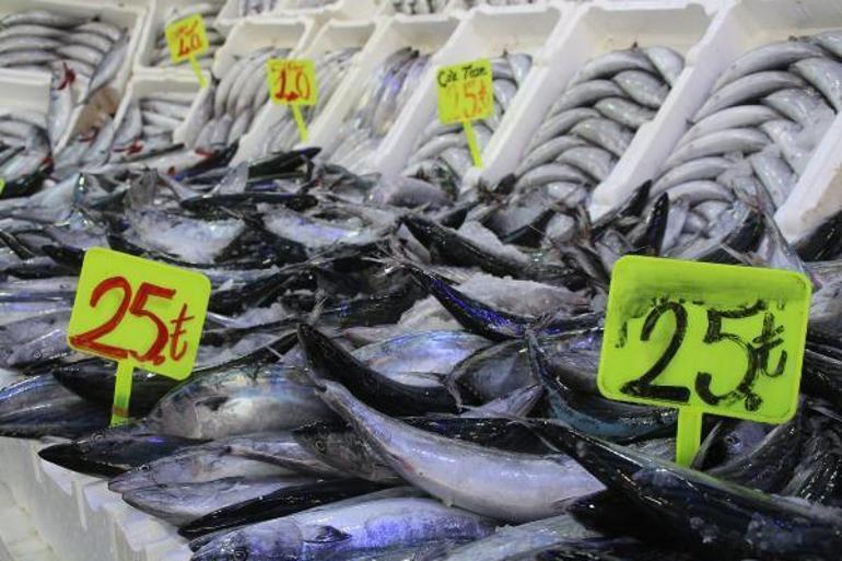 Karadenizde palamut bolluğu; fiyatı düştü