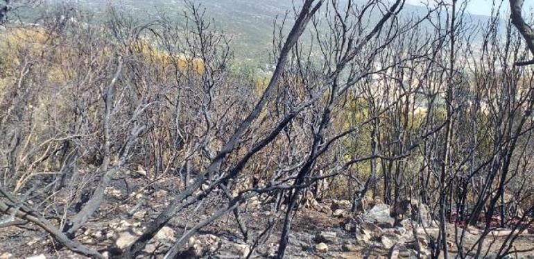 Antalyada 5 saat süren makilik yangınında 10 hektar alan kül oldu