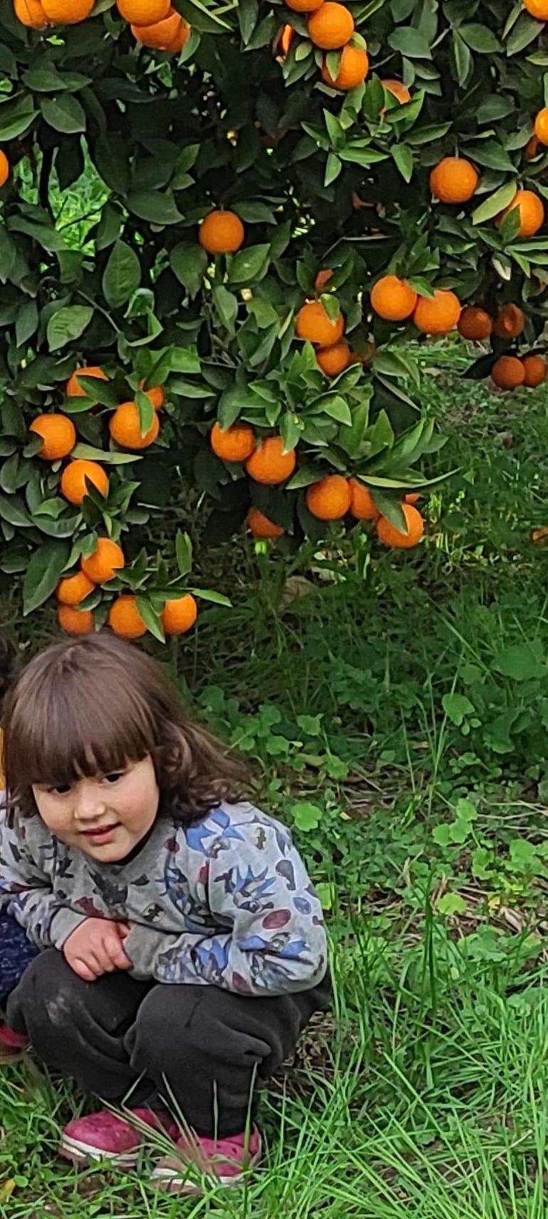 Kapağı kırık foseptiğe düşen 4 yaşındaki Naz Gül öldü