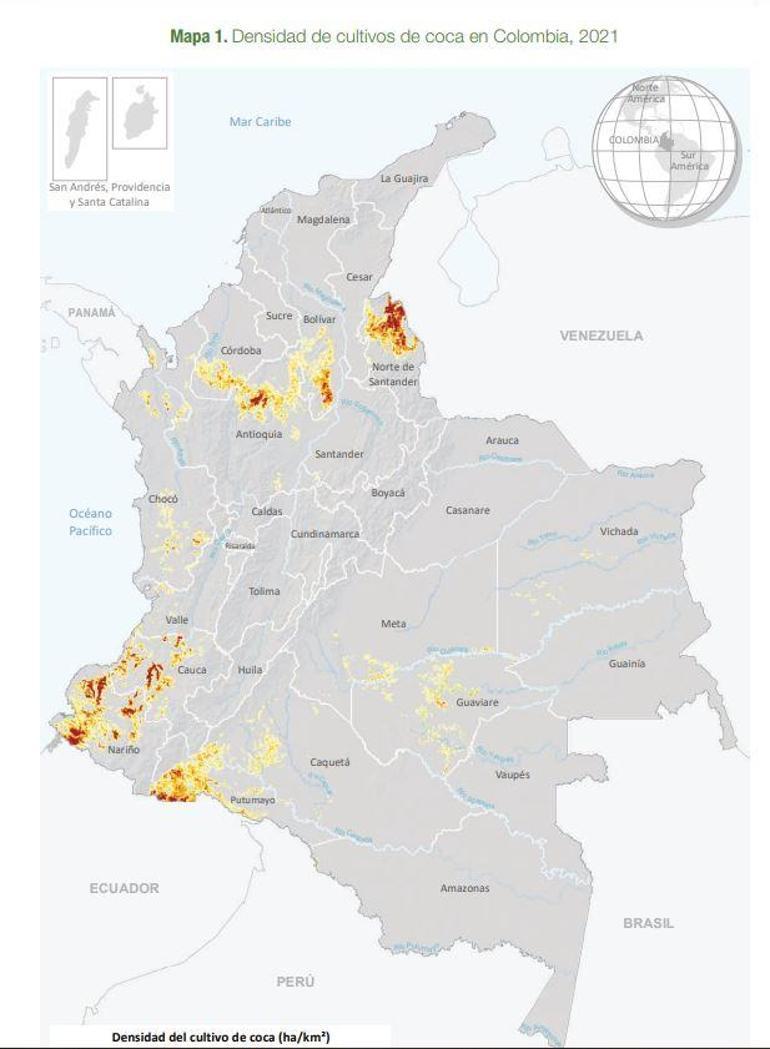 Kolombiya’da koka bitkisinin ekimi rekor seviyeye ulaştı: 1 yılda yüzde 43 artış