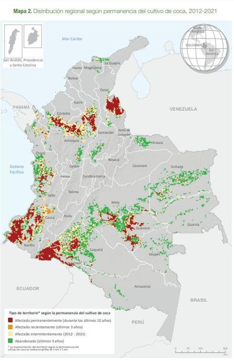 Kolombiya’da koka bitkisinin ekimi rekor seviyeye ulaştı: 1 yılda yüzde 43 artış