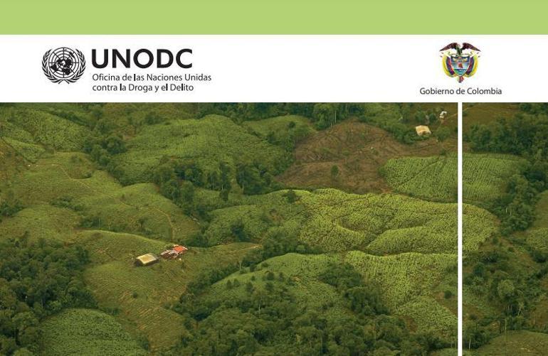 Kolombiya’da koka bitkisinin ekimi rekor seviyeye ulaştı: 1 yılda yüzde 43 artış