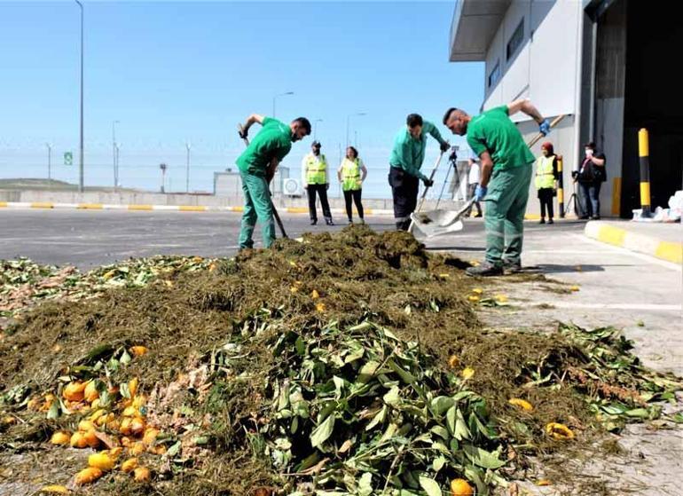 İstanbul Havalimanında organik atıklar toprağa can veriyor