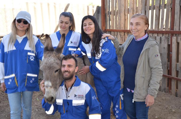 Aydında kaçak kesimden kurtarılan 6 hayvanı HAYTAP sahiplendi