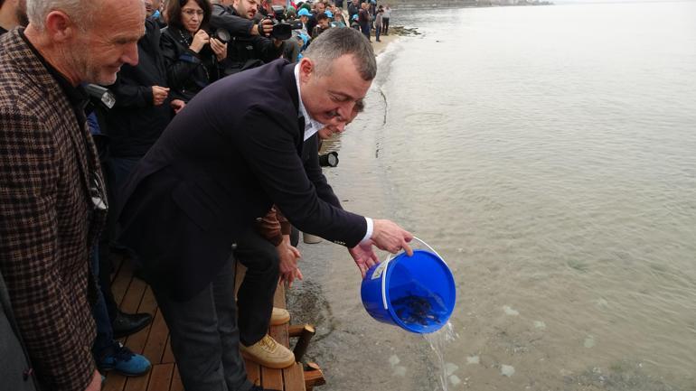 İzmit Körfezine 6 bin balık bırakıldı