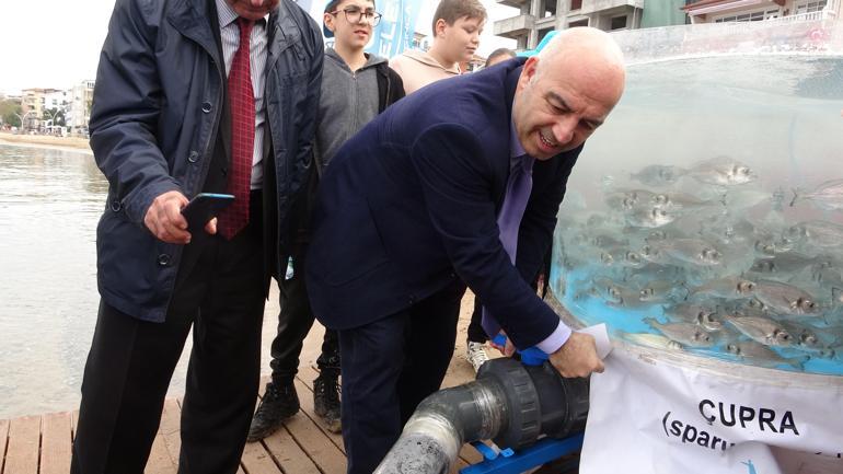 İzmit Körfezine 6 bin balık bırakıldı