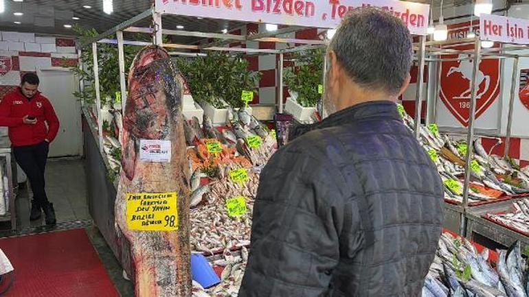 2,55 metre ve 98 kiloluk yayın balığı tezgahta